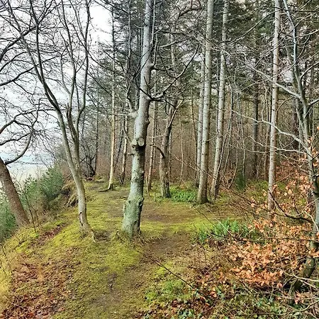 15 Double Rest 아파트 Jastrzębia Góra