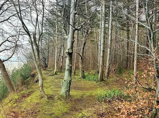 15 Double Rest Apartmán Jastrzębia Góra